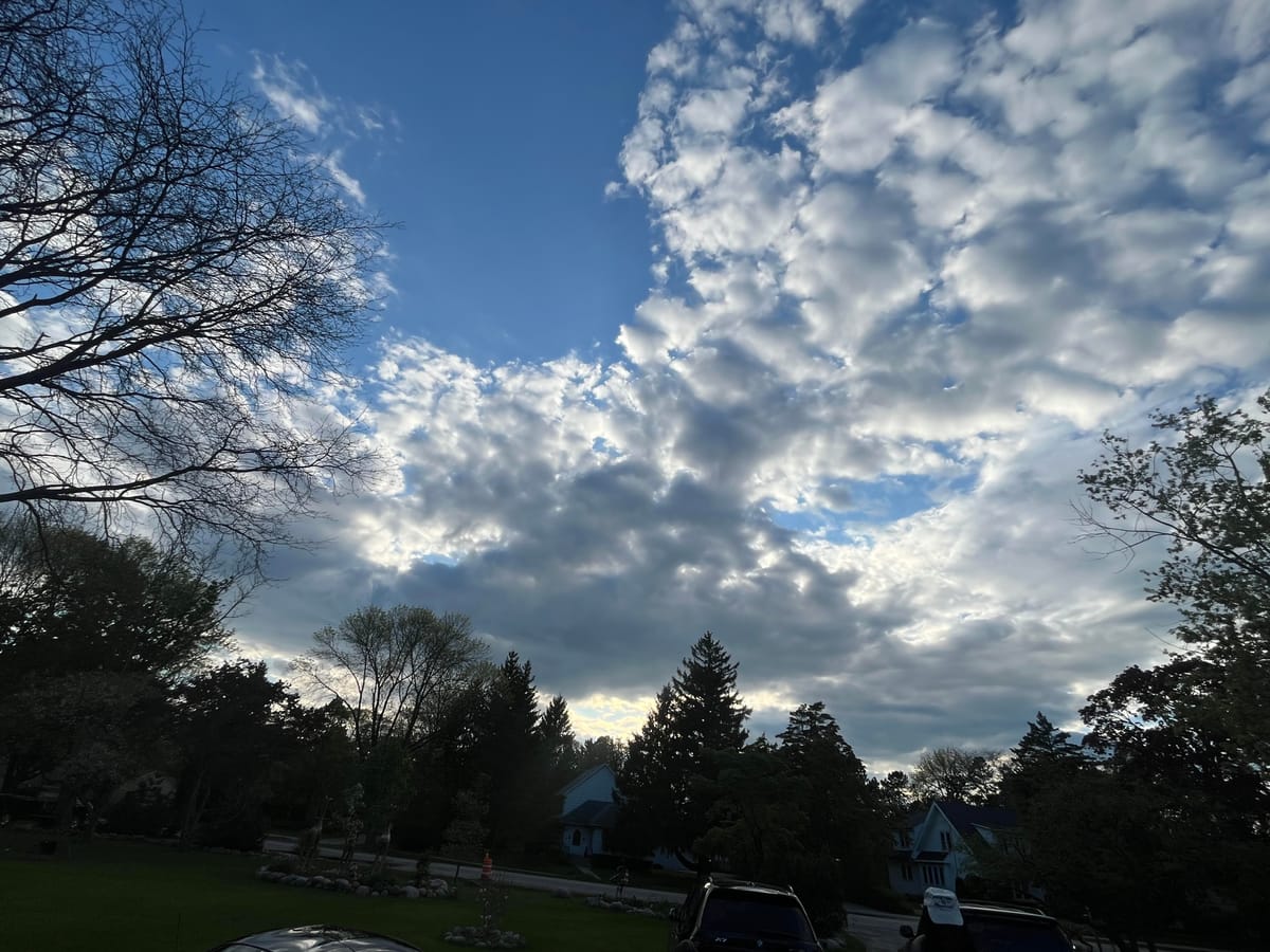 Accountablity in the community